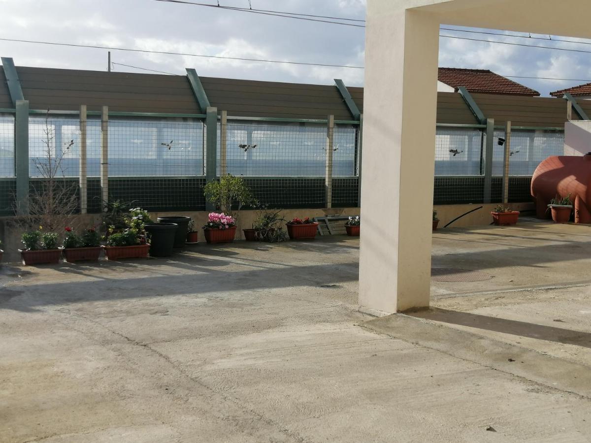 Il Corallo Azzurro Reggio di Calabria Bagian luar foto